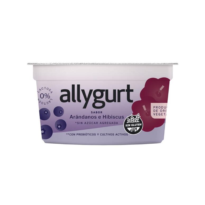 ALLY02_1.jpg