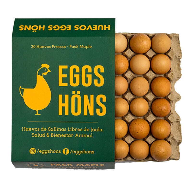EGGS02_1.jpg