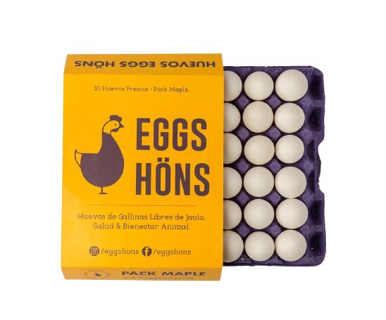 EGGS04_1.jpg