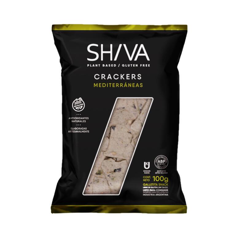 SHIV04_1.jpg