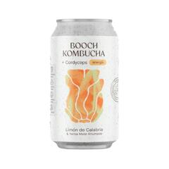 Kombucha Limon De Calabria y Yerba Mate Ahumada x 400g - Booch