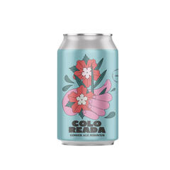 Ginger Ale Hibiscus x 354ml - Coloreada
